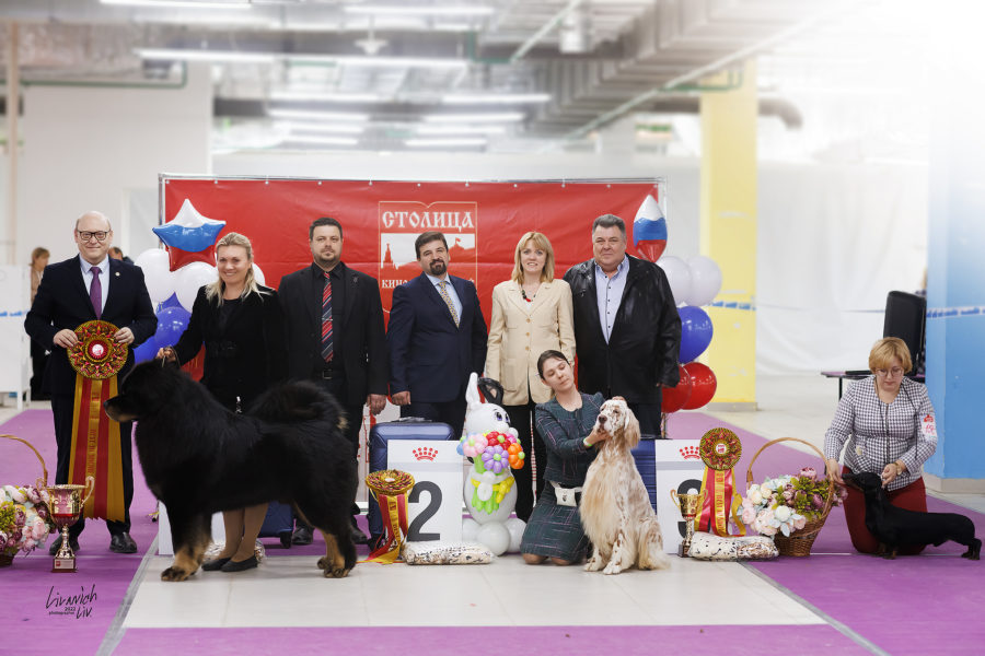 Выставка собак всех пород ранга САС-ЧРКФ г. Москва “Столица. Весна-2022” 13.03.2021