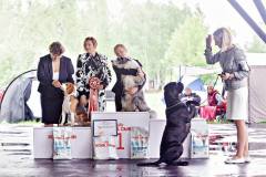 13254796_974888825957973_9214260065012875709_o