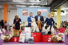 1_IMG_3670-копия