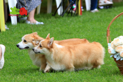 Столица-21-07-2024_16