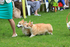 Столица-21-07-2024_17