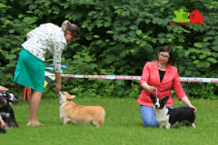Столица-21-07-2024_201