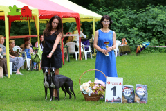 Столица-21-07-2024_21