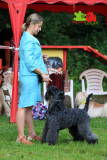Столица-21-07-2024_236