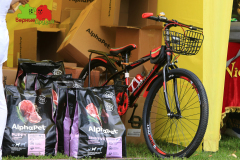 Столица-21-07-2024_8