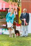 13882646_1022877411159114_1967796536100807354_n