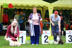 23-07-23-Столица-бесты