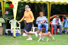 23-07-23-Столица-бесты_113