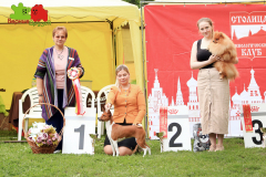 23-07-23-Столица-бесты_121