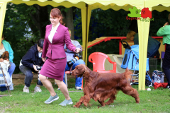 23-07-23-Столица-бесты_125