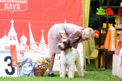 23-07-23-Столица-бесты_132