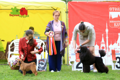 23-07-23-Столица-бесты_141