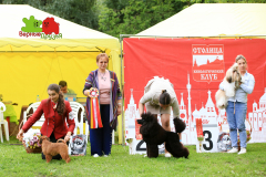 23-07-23-Столица-бесты_142