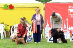 23-07-23-Столица-бесты_144