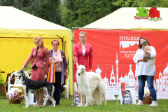 23-07-23-Столица-бесты_153