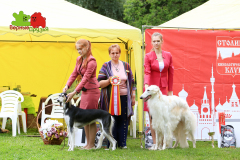 23-07-23-Столица-бесты_154