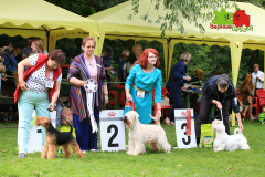 23-07-23-Столица-бесты_16