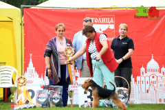 23-07-23-Столица-бесты_169