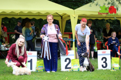 23-07-23-Столица-бесты_2