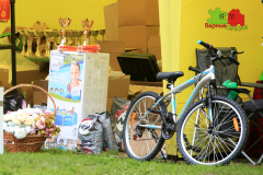 23-07-23-Столица-бесты_20