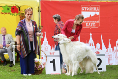 23-07-23-Столица-бесты_42