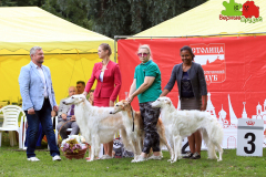 23-07-23-Столица-бесты_46