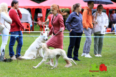 23-07-23-Столица-бесты_48