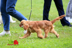 23-07-23-Столица-бесты_49