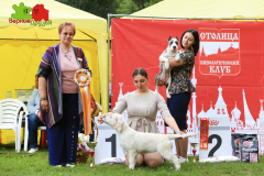 23-07-23-Столица-бесты_54