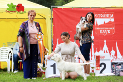 23-07-23-Столица-бесты_55