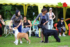 23-07-23-Столица-бесты_57