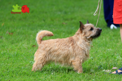 23-07-23-Столица-бесты_8