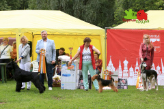 23-07-23-Столица-бесты_86