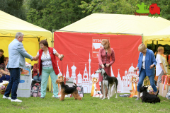 23-07-23-Столица-бесты_88