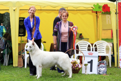 23-07-23-Столица-бесты_89