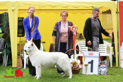 23-07-23-Столица-бесты_90