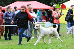 23-07-23-Столица-бесты_94