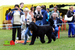 23-07-23-Столица-бесты_95