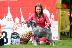 23-07-23-Столица-бесты_96