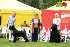 23-07-23-Столица-бесты_99