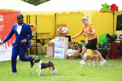 IMG_0731