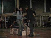 155913_313319342114928_434290354_n