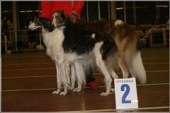 312780_312533102193552_2031548372_n