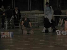 320601_313319522114910_1036823241_n