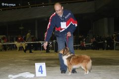 432268_312971835483012_677785426_n