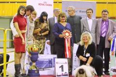 Выставка "Столица. Осень 2013"