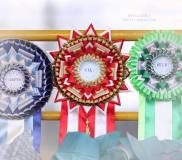 553714_476007659179428_2050238446_n