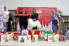 70505353_2559678677478972_6247221358724382720_n