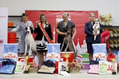 72185831_2559678624145644_600889276447588352_n