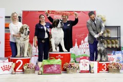 73539717_2559678837478956_5327539882782883840_n